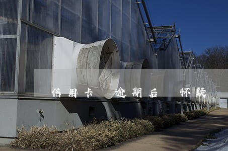 信用卡 逾期后 怀疑 套现 信用卡 逾期后 怀疑 套现